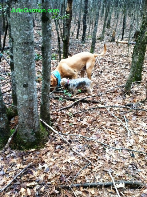 1FFDBEDC-B298-4995-B9CF-38E0024835A3