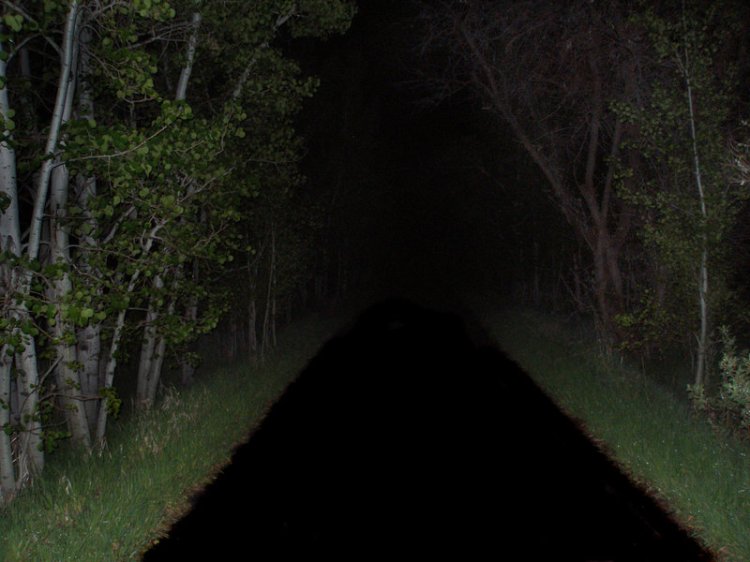 dark park.jpg