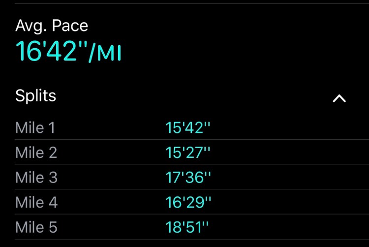 1B7BEE59-F86D-412D-AAEF-9536C2E8A2F6