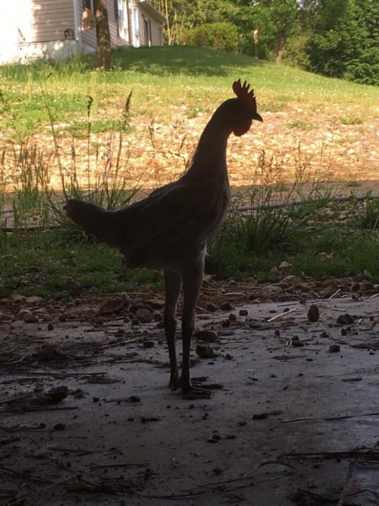 82772F33-8431-4FE3-84A7-FD9E6CAE6666