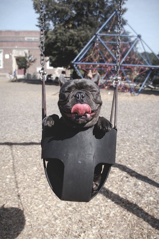 C7EFADF6-81A5-46D7-858E-044CC8AA98B0